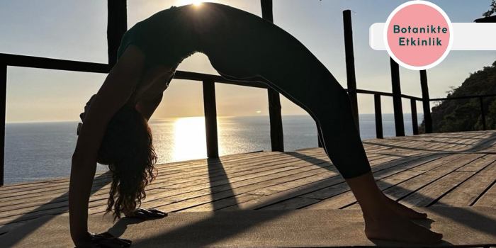 Yin Yang Yoga - Botanik Park - Sera Alanı - Ankara